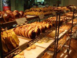 Pandol s.n.c. di catalini & c. - Forni per panifici, pasticcerie e pizzerie - Offida (Ascoli Piceno)