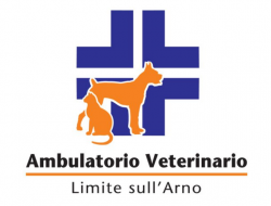 Ambulatorio veterinario limite sull'arno - Veterinaria - ambulatori e laboratori - Capraia e Limite (Firenze)