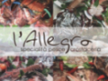 Opinioni degli utenti su Ristorante L'Allegro