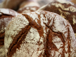 Il pane migliore s.n.c. di sciandra carminio e salvatore & c - Panetterie - Riccia (Campobasso)