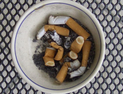 Transcatab - Tabacchi, sigarette e sigari - produzione e commercio,Tabacco industria - macchine ed attrezzature - Caserta (Caserta)