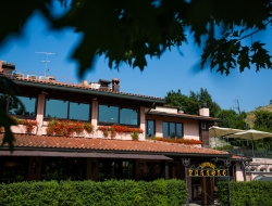 Ristorante passone - Ristoranti - Montevecchia (Lecco)