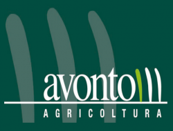 Avonto & c. s.r.l. - Agricoltura - attrezzi, prodotti e forniture - Villanova Monferrato (Alessandria)