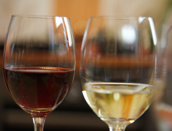 Societ? agricola accadia s.s. - Vini e spumanti - produzione e ingrosso - Serra San Quirico (Ancona)