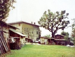 Agriturismo cà nova del tenente - Agriturismo - Monteveglio (Bologna)