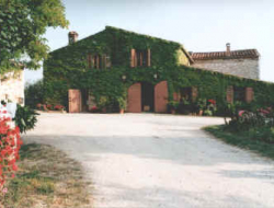 Borella giovanni - Azienda agricola - Colle di Val d'Elsa (Siena)