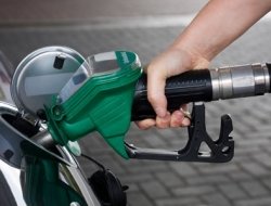 Sauro traversari & c. sas - Distribuzione carburanti e stazioni di servizio - Pistoia (Pistoia)