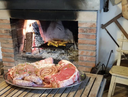 Saccardi e panichi di saccardi laura e merlini marcello snc - Macellerie - Firenze (Firenze)