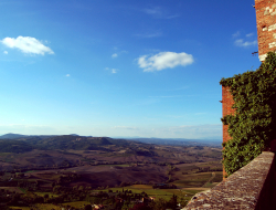 Cigolina s.r.l. - Ricevimenti e banchetti - sale e servizi - Montepulciano (Siena)