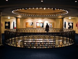 Fondazione culturale niels stensen - Cinema - Firenze (Firenze)