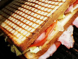 Toastamore srl - Paninoteche - Latina (Latina)