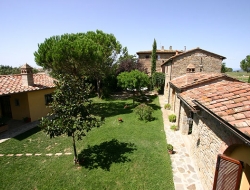 Agriturismo il borgo - Agriturismo - Cortona (Arezzo)