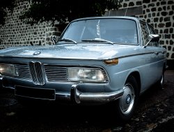 Team car 95 srl - Autoricambi - Roma (Roma)