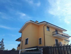 Scozzari angela - Agenzie immobiliari - Ciampino (Roma)