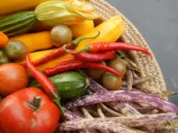 Terrapura di gloria brachini & c. snc frutta e verdura