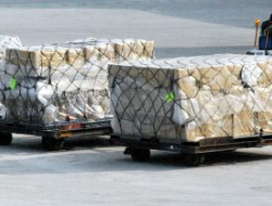 Cargo italy s.r.l. - Trasporti,Trasporti aerei - Fiumicino (Roma)