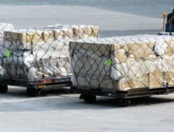 Cargo italy s.r.l. - Trasporti,Trasporti aerei - Fiumicino (Roma)