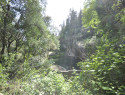 Mf aziende agricole s.r.l. - Azienda agricola - Fiesole (Firenze)