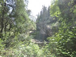Mf aziende agricole s.r.l. - Azienda agricola - Fiesole (Firenze)
