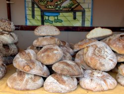 L'angolo della focaccia di dell'albani giuseppe - Panifici industriali ed artigianali - Colle di Val d'Elsa (Siena)