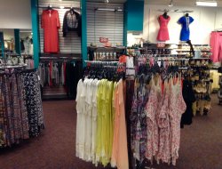 Fashion market follonica srl - Abbigliamento - Scarlino (Grosseto)