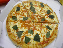 Schirru vittorio - Pizzerie - Guspini (Medio Campidano)