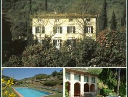Agriturismo alle camelie - Agriturismo - Capannori (Lucca)