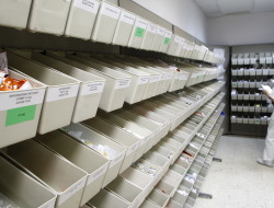 Farmacia spadoni di petracci maria cristina e mario s.n.c. - Farmacie - San Ginesio (Macerata)