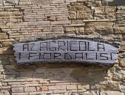 Azienda agricola i fiordalisi - Azienda agricola - Assisi (Perugia)