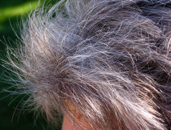 Hair revolution snc di giovanni colagrande e ivan bartolini - Parrucchieri per donna,Parrucchieri per uomo - L'Aquila (L'Aquila)