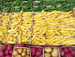 La providentia s.r.l. - Frutta e verdura,Frutta e verdura - ingrosso - Carbonia (Carbonia-Iglesias)