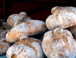 Alimentari nencioni di nencioni paola e francesca snc - Alimentari vendita - Montopoli in Val d'Arno (Pisa)
