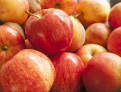 Capomagi pietro frutta e verdura - Frutta e verdura - Fossombrone (Pesaro-Urbino)