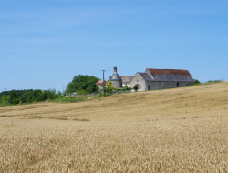 Peragallo roberto - Aziende agricole e zootecniche - Castiglione della Pescaia (Grosseto)