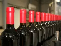 Casa vinicola geminiani vini e spumanti produzione e ingrosso