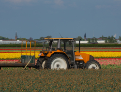 Agrisoluzioni s.r.l. - Consulenza agricola e forestale - Udine (Udine)