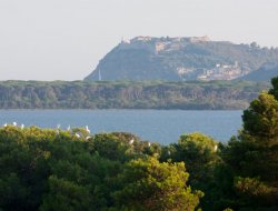 Bengodi societ? semplice agricola di alexandra luchsinger garrid - Bed & breakfast - Orbetello (Grosseto)