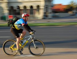 Bike therapy srls - Biciclette - accessori e parti - Pergola (Pesaro-Urbino)