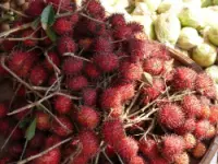 F.lli stella di stella genunzio &amp; c. snc frutta e verdura ingrosso