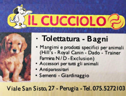 Il cucciolo - Alimenti e accessori per animali,Animali domestici - alimenti ed articoli,Animali domestici - toeletta,Animali domestici - vendita - Perugia (Perugia)