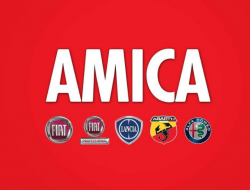 Amica gruppo palmesano - Automobili - commercio - Caserta (Caserta)