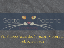 Gatto papone food&wine - Ristoranti - Macerata (Macerata)