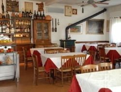 Ristorante il maccherone - Ristoranti - Pontassieve (Firenze)