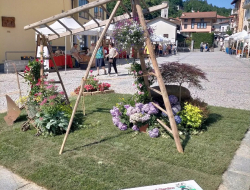 Bertolino luciano federico - Azienda agricola,Vivai piante e fiori - Issiglio (Torino)