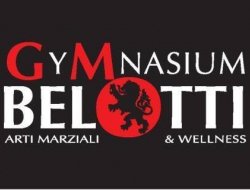 Associazione sportiva dilettantistica gymnasium belotti arti marziali well - Palestre - Bovisio-Masciago (Monza-Brianza)