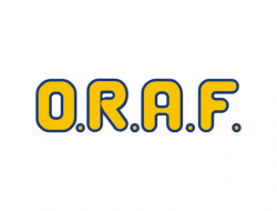 O.r.a.f. s.n.c. di ferragina claudio e c. - Autofficine e centri assistenza - Cecina (Livorno)