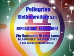 Pellegrino elettroforniture srl - Illuminazione - impianti e materiali - Gioia Tauro (Reggio Calabria)