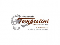 Gastronomia tempestini di matteucci marco c. snc - Gastronomie, salumerie e rosticcerie - Prato (Prato)
