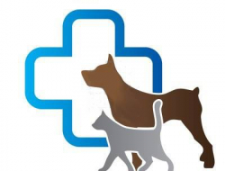 Vet service - Veterinaria - ambulatori e laboratori - Fiumicino (Roma)