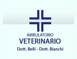 Veterinari associati - belli claudio e bianchi alessandro - Veterinaria - ambulatori e laboratori - Rimini (Rimini)
